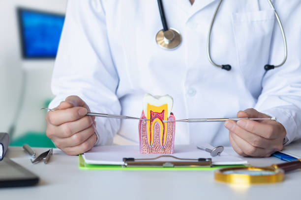 Best Emergency Root Canal Treatment in Quitman, MS